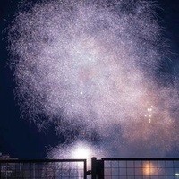暗访小飞侠